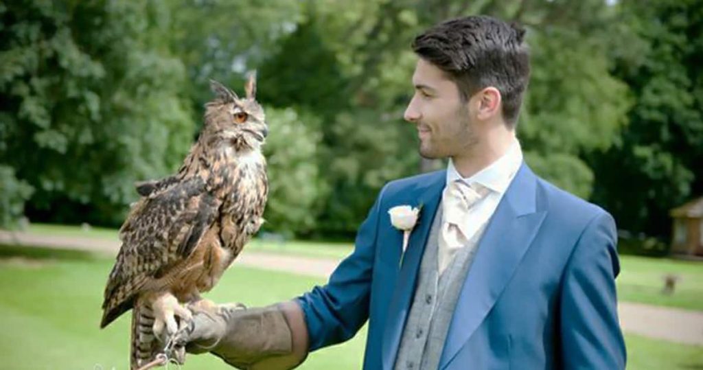 An Great Horned Owl in the Gentleman hand